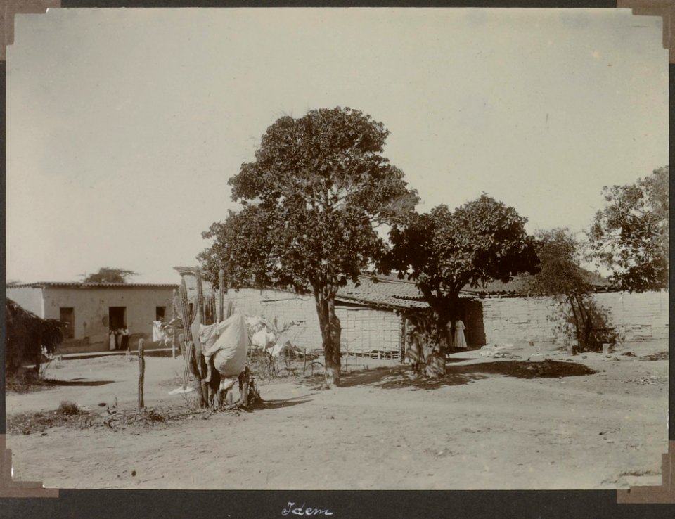 Collectie NMvWereldculturen, RV-A103-1-227, 'Carupano'. Foto- G.M. Versteeg, 13 december 1904