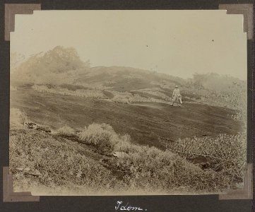 Collectie NMvWereldculturen, RV-A102-1-239, 'De tweede kale top'. Foto- G.M. Versteeg, 1903-1904