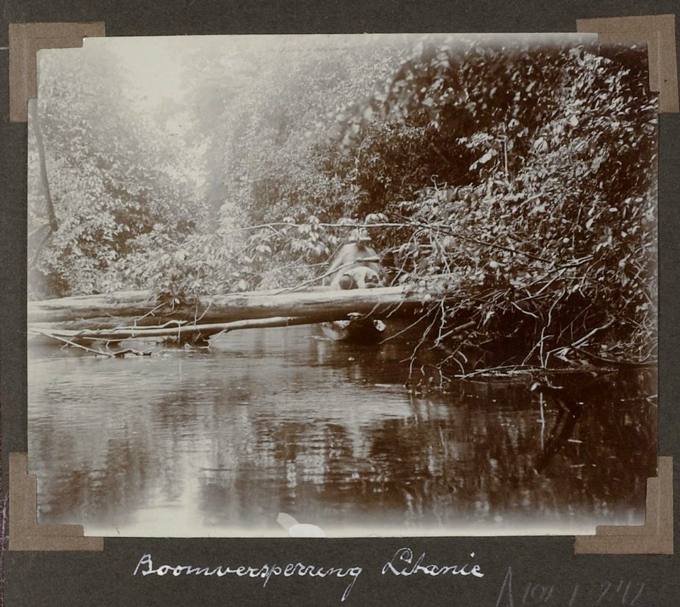 Collectie NMvWereldculturen, RV-A102-1-242, 'Boomversperring Litanie'. Foto- G.M. Versteeg, 1903-1904