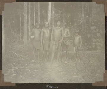 Collectie NMvWereldculturen, RV-A103-1-254, 'Majoli'. Foto- G.M. Versteeg, 1904