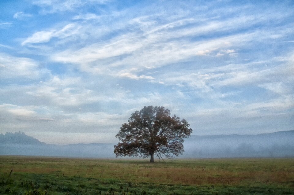 Scene countryside leaf