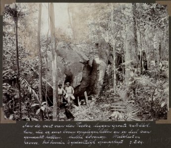 Collectie NMvWereldculturen, RV-A103-1-29, 'Aan de voet van den Teeboe liggen groote rotsblokken die er eens boven op gelegen hebben en er deel van gemaakt hebben '. Foto- G.M. Versteeg, 7 augustus 1904