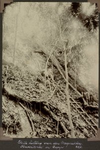 Collectie NMvWereldculturen, RV-A103-1-47, 'Steile helling van den Mageneetberg. Hadritsma en Copijn'. Foto- G.M. Versteeg, 23 augustus 1904