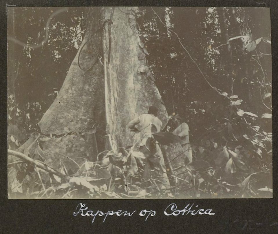 Collectie NMvWereldculturen, RV-A102-1-89, 'Kappen op Cottica'. Foto- G.M. Versteeg, 1903-1904
