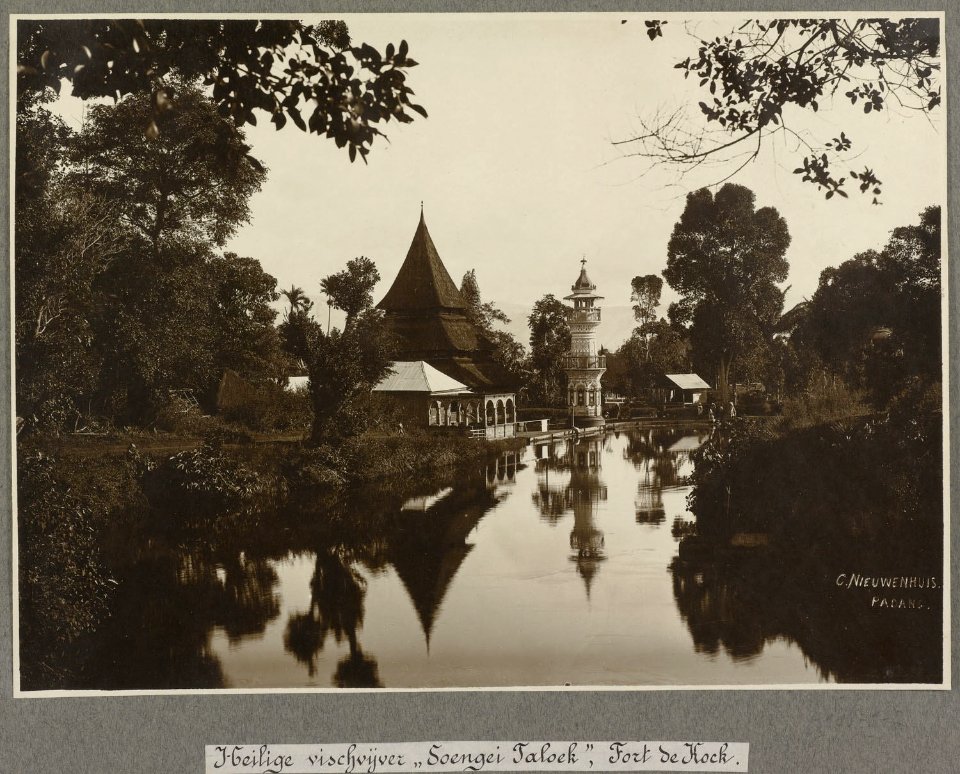 Collectie NMvWereldculturen, RV-A106-1-2, Foto- 'De heilige visvijver Soengei Taloek in Fort de Kock aan Sumatra's Westkust', fotograaf C.B. Nieuwenhuis, ca. 1918