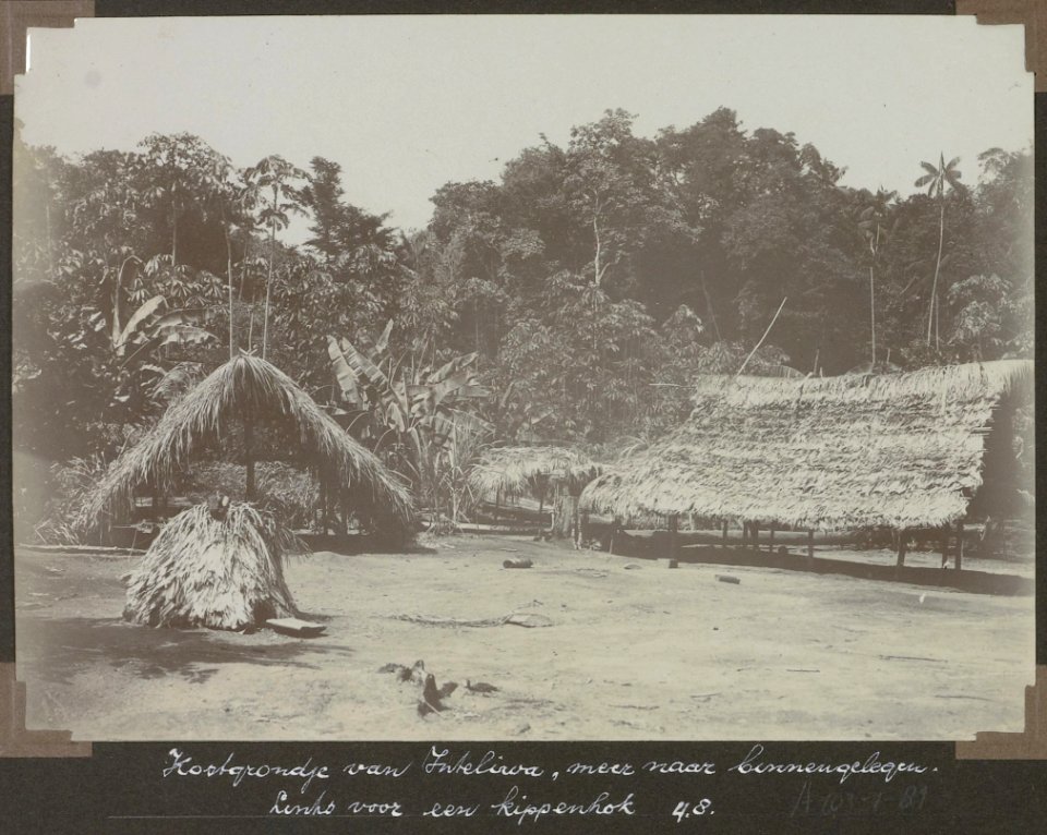 Collectie NMvWereldculturen, RV-A103-1-81, 'Kostgrondje van Inteliwa, meer naar binnengelegen. Linksvoor een kippenhok'. Foto- G.M. Versteeg, 4 augustus 1904