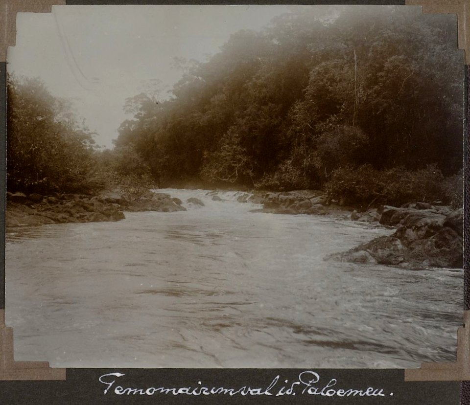 Collectie NMvWereldculturen, RV-A103-1-94, 'Temomairemval in de Paloemeu'. Foto- G.M. Versteeg, 1904