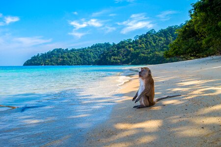 Island waters beach photo