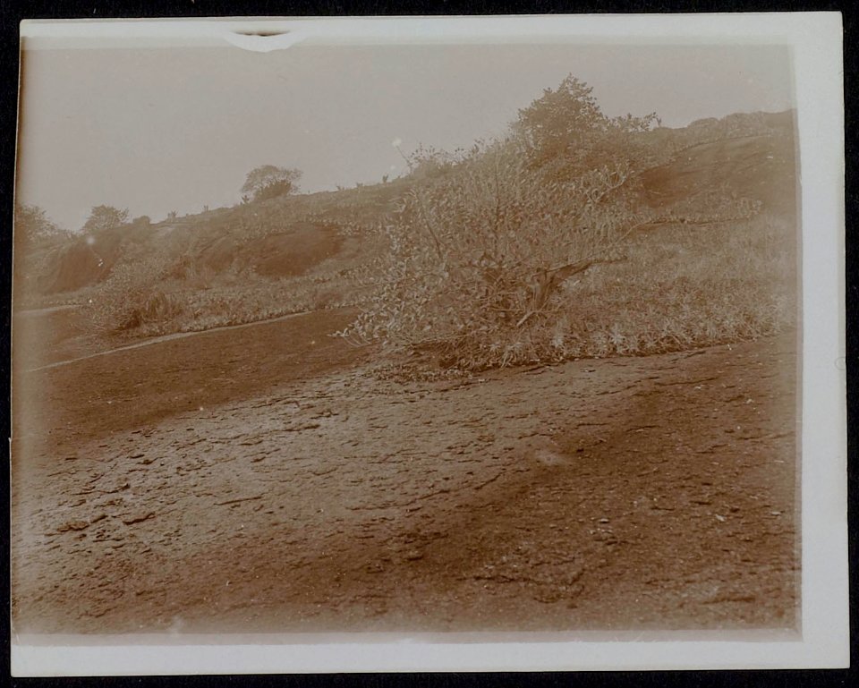 Collectie NMvWereldculturen, RV-A116-50 'De berg Knopaiamoi in Suriname'