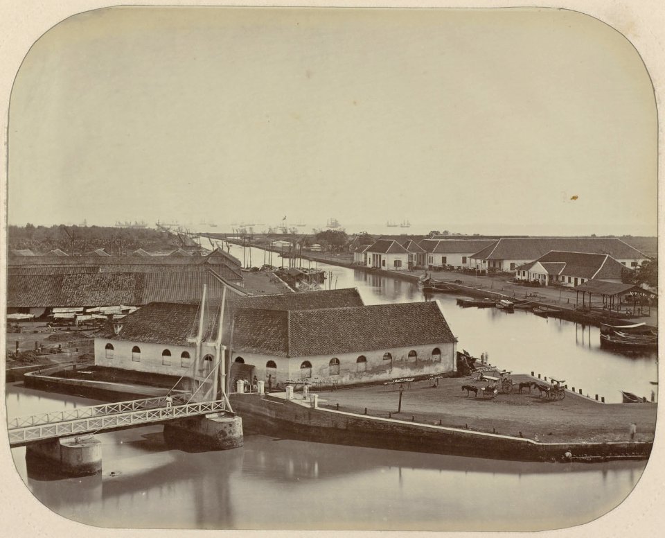 Collectie NMvWereldculturen, RV-A111-3-20, Foto- 'De Boom in Batavia met gezicht op de rede', fotograaf- Woodbury & Page, 1874-1875