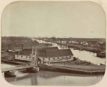 Collectie NMvWereldculturen, RV-A111-3-20, Foto- 'De Boom in Batavia met gezicht op de rede', fotograaf- Woodbury & Page, 1874-1875