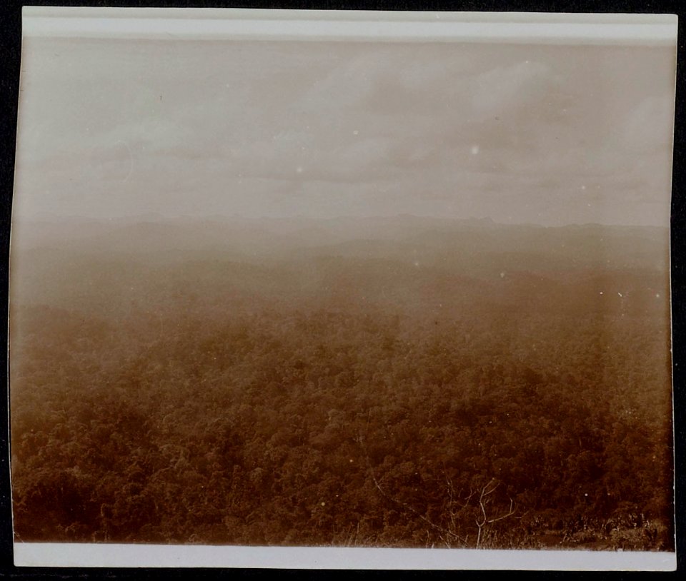 Collectie NMvWereldculturen, RV-A116-54 'Het Toemoek Hoemak gebergte in Suriname vanaf de Knopaiamoi-berg'