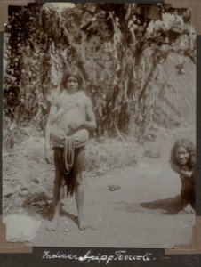 Collectie NMvWereldculturen, RV-A103-1-120, 'Indiaan op Toewoli'. Foto- G.M. Versteeg, 1904