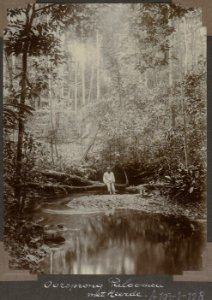 Collectie NMvWereldculturen, RV-A103-1-128, 'Paloemeu oorsprong met Heerde'. Foto- G.M. Versteeg, 1904
