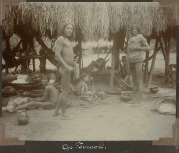 Collectie NMvWereldculturen, RV-A103-1-131, 'Op Toewoli'. Foto- G.M. Versteeg, 1904