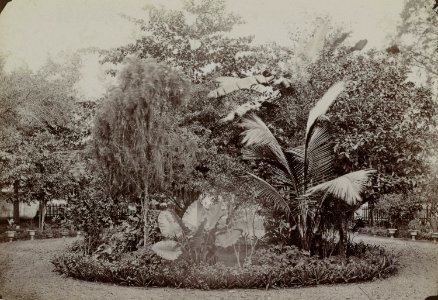 Collectie NMvWereldculturen, RV-A131-17, Foto, 'Een particuliere tuin in Batavia', fotograaf Woodbury & Page, ca. 1870