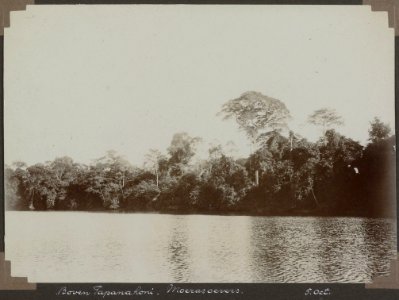 Collectie NMvWereldculturen, RV-A103-1-157, 'Boven Tapanahoni. Moerasoevers'. Foto- G.M. Versteeg, 5 oktober 1904