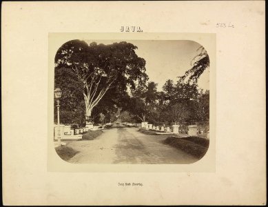 Collectie NMvWereldculturen, RV-A38-2, Foto, 'Gang Scott in Batavia', fotograaf Woodbury & Page, 1860-1878