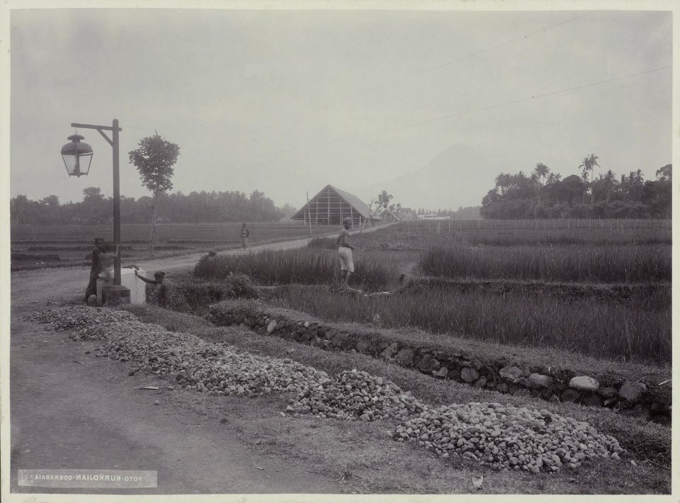 Collectie NMvWereldculturen, RV-A20-206, foto, 'Een sawa bij Yogyakarta', fotograaf Ohannes Kurkdjian, 1885-1920