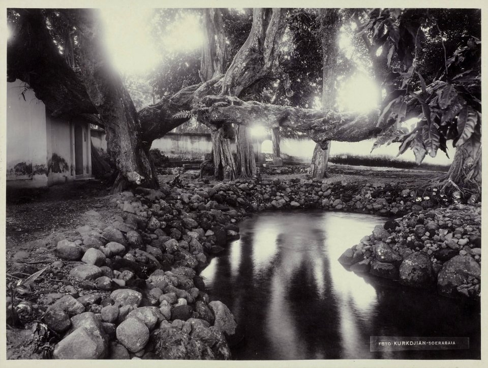 Collectie NMvWereldculturen, RV-A20-149, foto, 'Een waterplas in Gamprit bij Yogyakarta', fotograaf Ohannes Kurkdjian, 1885-1920