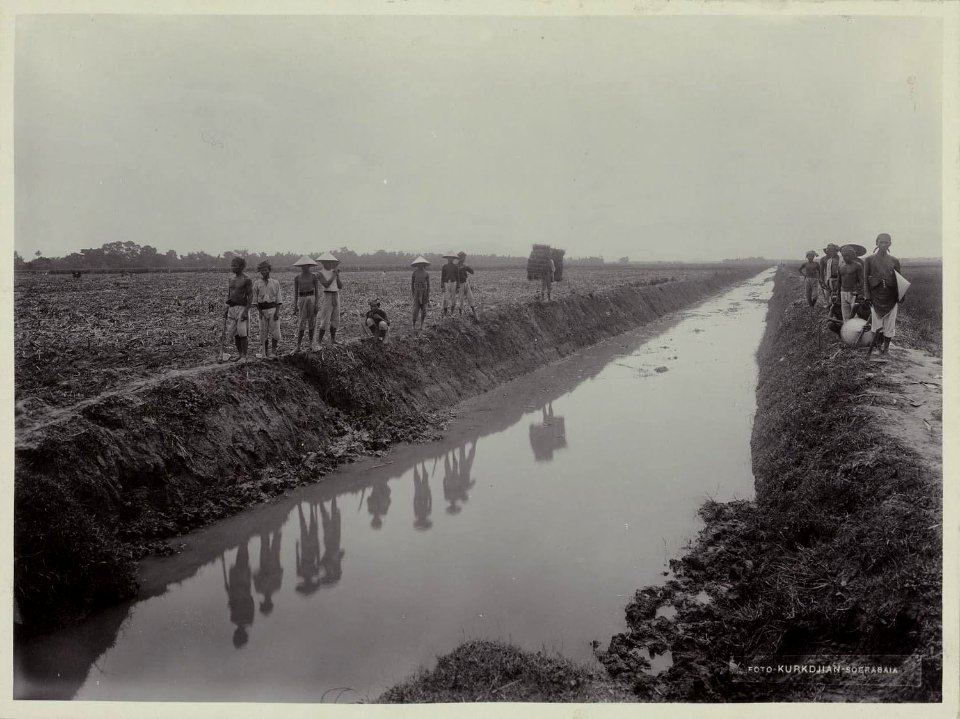 Collectie NMvWereldculturen, RV-A20-204, foto, 'Een sawa bij Yogyakarta', fotograaf Ohannes Kurkdjian, 1885-1920