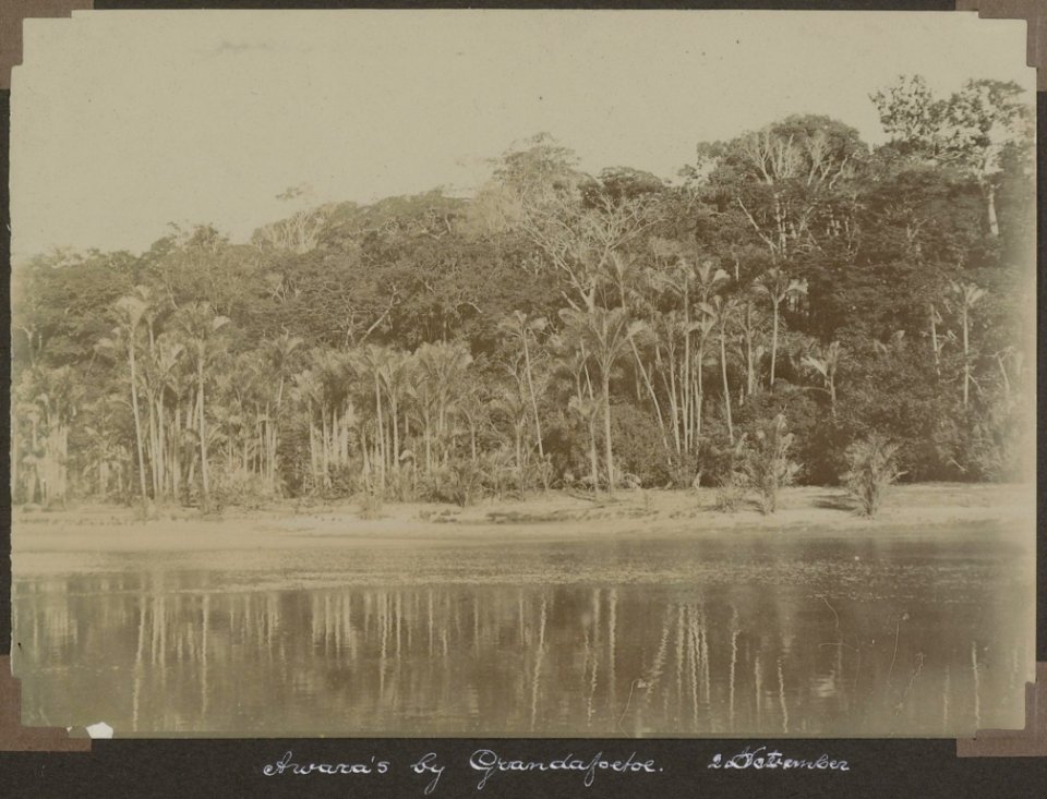 Collectie NMvWereldculturen, RV-A103-1-197, 'Awara's bij Grandafoetoe'. Foto- G.M. Versteeg, 2 november 1904