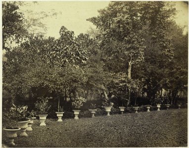 Collectie NMvWereldculturen, RV-A42-1-30, Foto, 'Tuin met bomen en planten in Batavia', fotograaf Woodbury & Page, ca. 1875