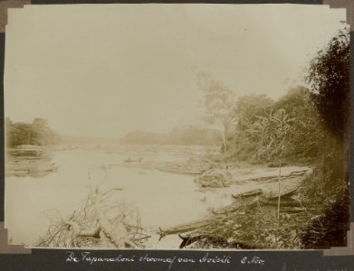 Collectie NMvWereldculturen, RV-A103-1-204, 'De Tapanahoni stroomaf van Avisiti'. Foto- G.M. Versteeg, 8 november 1904