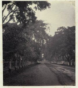 Collectie NMvWereldculturen, RV-A42-1-25, Foto, 'Gang Scott in Weltevreden, Batavia', fotograaf Woodbury & Page, ca. 1875