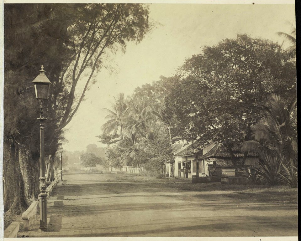 Collectie NMvWereldculturen, RV-A42-1-11, Foto, 'Tanah Abang in Batavia', fotograaf Woodbury & Page, ca. 1875