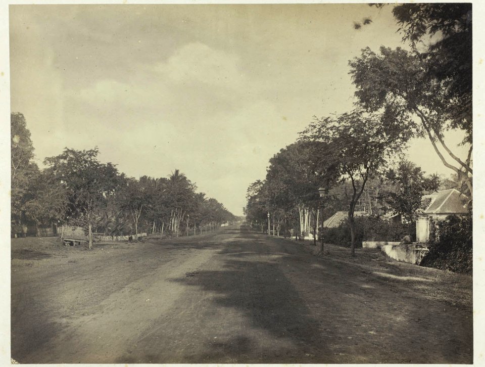 Collectie NMvWereldculturen, RV-A42-1-42, Foto, 'Kebon Sirih in het voormalige Batavia', fotograaf Woodbury & Page, ca. 1875
