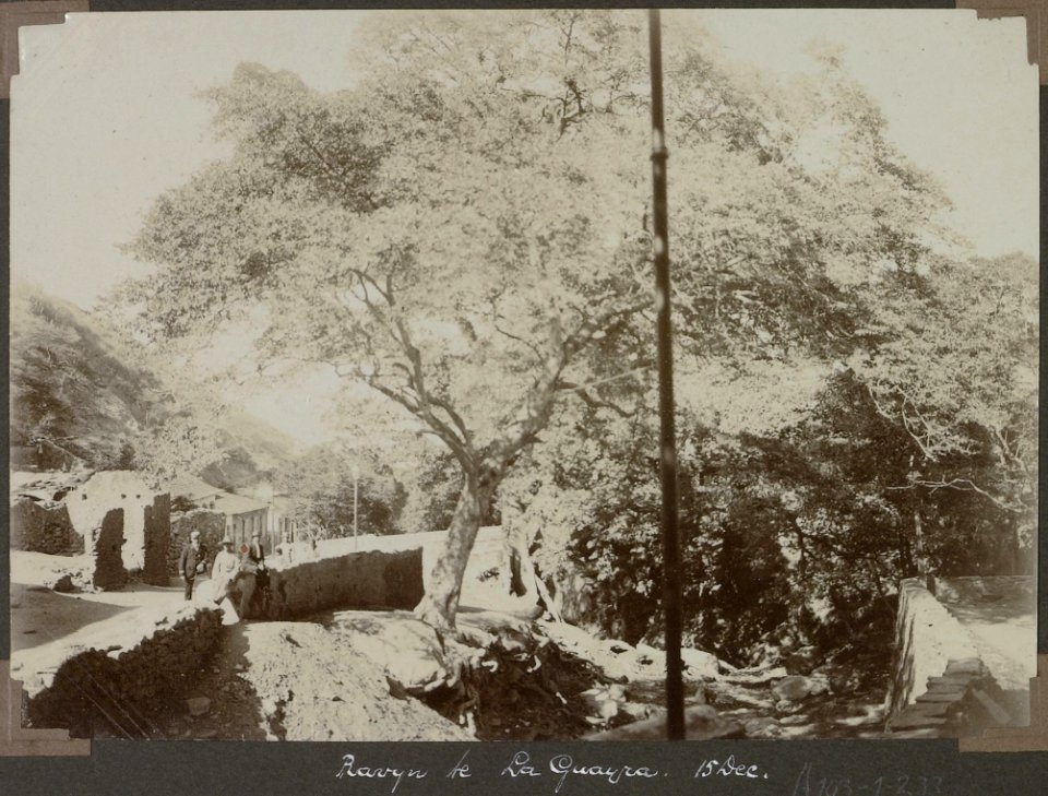 Collectie NMvWereldculturen, RV-A103-1-233, 'Ravijn te La Guayra'. Foto- G.M. Versteeg, 15 december 1904