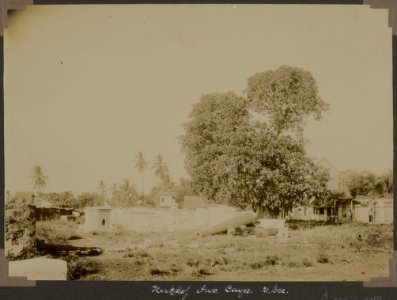 Collectie NMvWereldculturen, RV-A103-1-240, 'Kerkhof Aux Cayes'. Foto- G.M. Versteeg, 21 december 1904