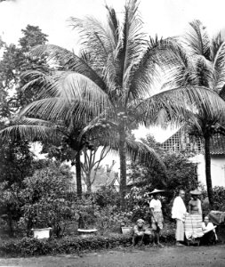 Collectie NMvWereldculturen, TM-60002109, Foto, 'Stadsgezicht van Batavia met Chinese koopman en klapperboom.', fotograaf onbekend, Ca. 1870