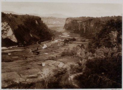 Collectie NMvWereldculturen, TM-30000090, Foto- 'Karbouwengat bij Fort de Kock', fotograaf C.B. Nieuwenhuis, ca. 1915