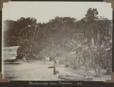 Collectie NMvWereldculturen, RV-A103-1-80, 'Kostgrondje van Inteliwa'. Foto- G.M. Versteeg, 4 september 1904