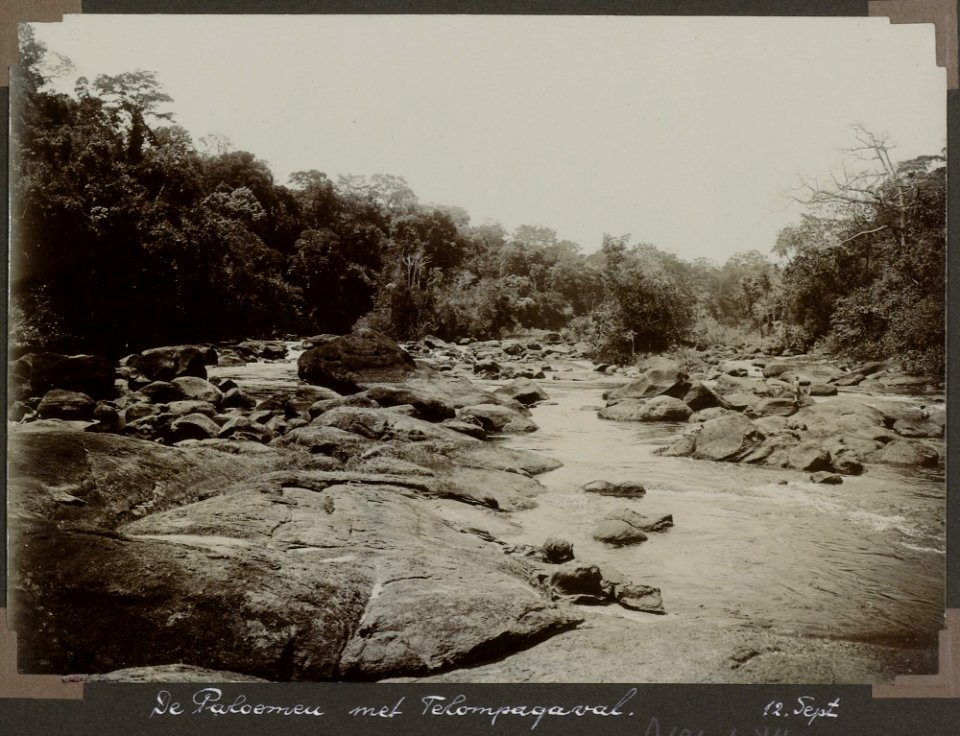 Collectie NMvWereldculturen, RV-A103-1-84, 'De Paloemeu met Telompagaval'. Foto- G.M. Versteeg, 12 september 1904
