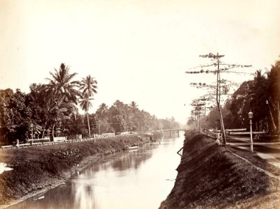 Collectie NMvWereldculturen, TM-60004947, Foto, 'Goenoeng Sahari, Batavia', fotograaf toegeschreven aan Woodbury & Page, 1857-1872