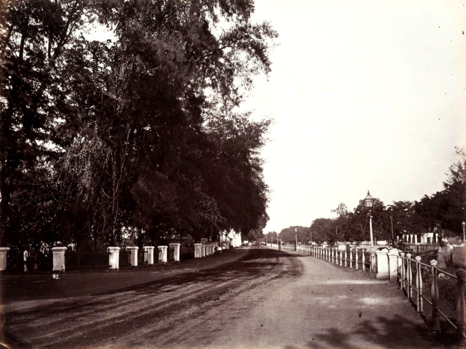 Collectie NMvWereldculturen, TM-60004979, Foto, 'Weg langs de Molenvliet in Rijswijk, Batavia', fotograaf toegeschreven aan Woodbury & Page, 1857-1872