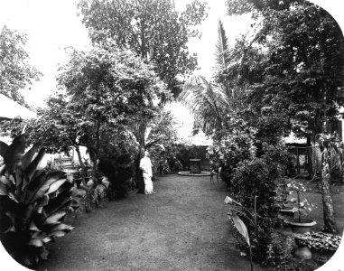 Collectie NMvWereldculturen, TM-60019264, Foto, 'Een man in zijn tuin, Batavia', fotograaf Woodbury & Page, 1857-1872