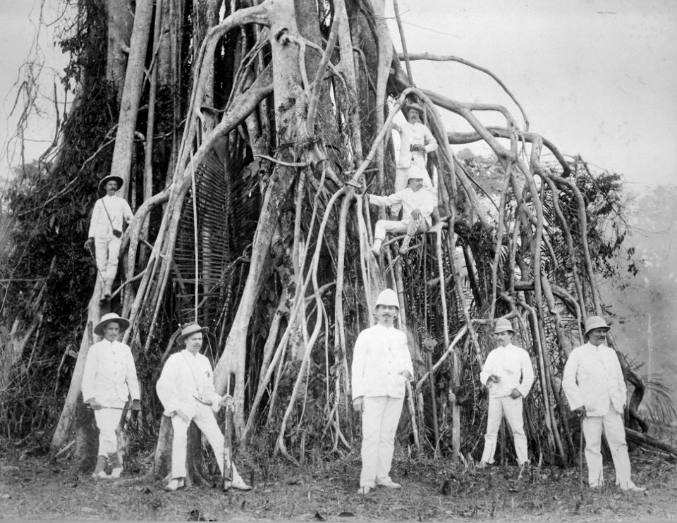 Collectie NMvWereldculturen, TM-60022979, Foto, 'Een groep planters poseert bij een boom met grote luchtwortels', fotograaf onbekend, Ca. 1900