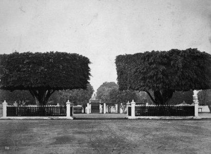 Collectie NMvWereldculturen, TM-60025011, Foto, 'De waringins op de alun-alun bij de ingang van de kraton van de sultan van Yogyakarta', fotograaf Woodbury & Page, 1857-1874