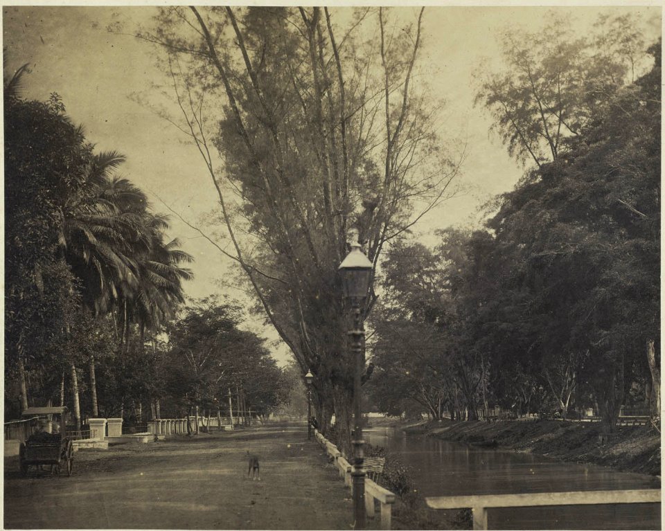 Collectie NMvWereldculturen, RV-A42-1-10, Foto, 'Rivier de Tanah Abang in Batavia met aangrenzende weg', fotograaf Woodbury & Page, ca. 1875
