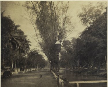 Collectie NMvWereldculturen, RV-A42-1-10, Foto, 'Rivier de Tanah Abang in Batavia met aangrenzende weg', fotograaf Woodbury & Page, ca. 1875