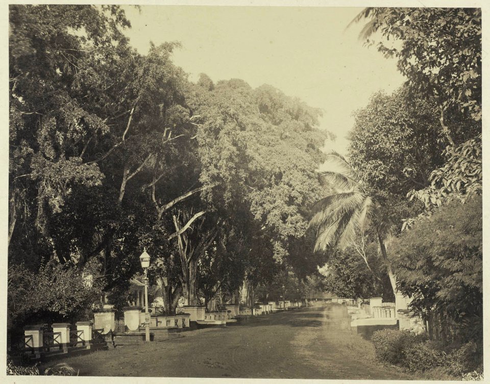 Collectie NMvWereldculturen, RV-A42-1-14, Foto, 'Gang Scott in Weltevreden te Batavia', fotograaf Woodbury & Page, ca. 1875