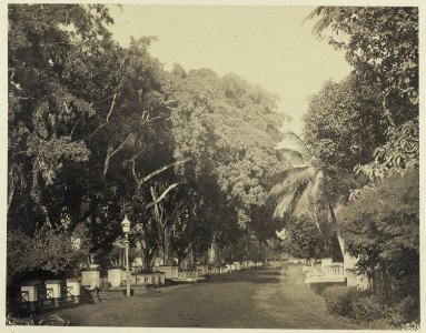 Collectie NMvWereldculturen, RV-A42-1-14, Foto, 'Gang Scott in Weltevreden te Batavia', fotograaf Woodbury & Page, ca. 1875