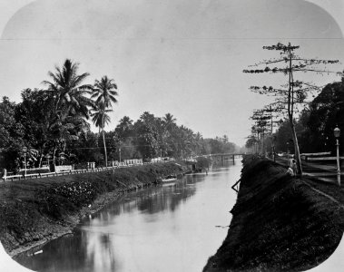 Collectie NMvWereldculturen, TM-60025067, Foto, 'Goenoeng Sahari, Batavia', fotograaf toegeschreven aan Woodbury & Page, 1857-1872