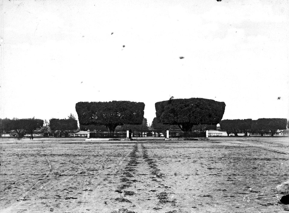 Collectie NMvWereldculturen, TM-60035929, foto, 'De waringins op de alun-alun bij de ingang van de kraton van de sultan van Yogyakarta', fotograaf K. (Kassian) Céphas, 1870-1892