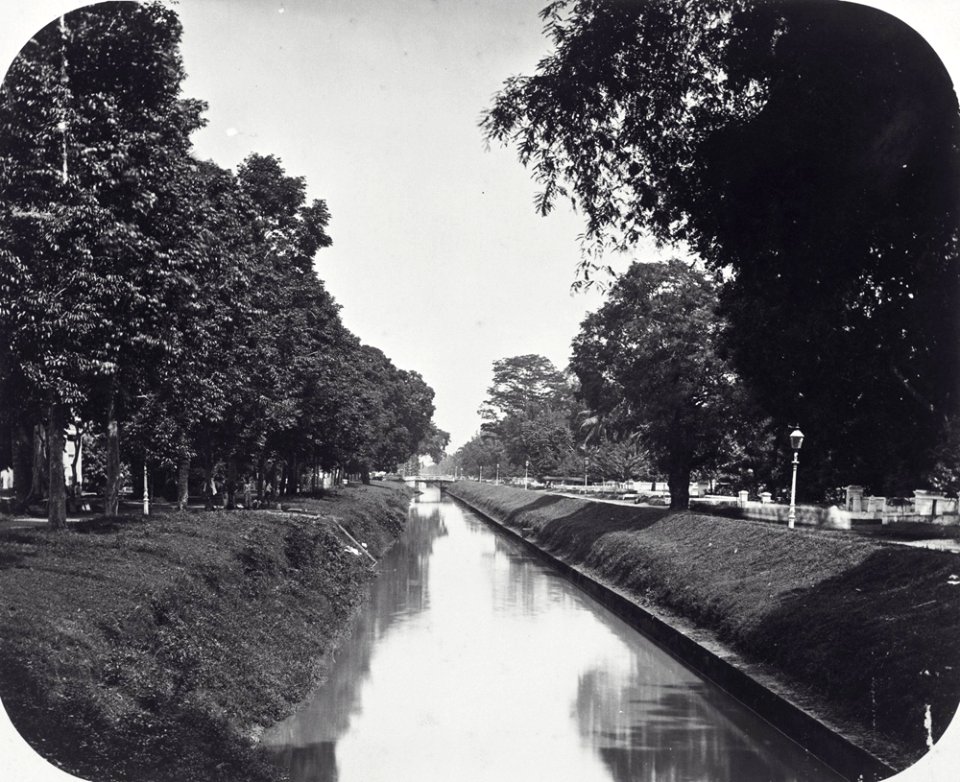 Collectie NMvWereldculturen, TM-60039850, Foto, 'Goenoeng Sahari te Batavia', fotograaf Woodbury & Page, 1870-1890