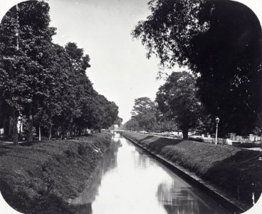 Collectie NMvWereldculturen, TM-60039850, Foto, 'Goenoeng Sahari te Batavia', fotograaf Woodbury & Page, 1870-1890
